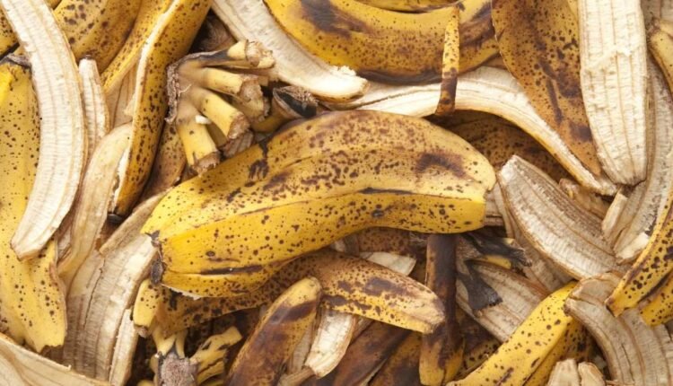 O Poder da Casca de Banana