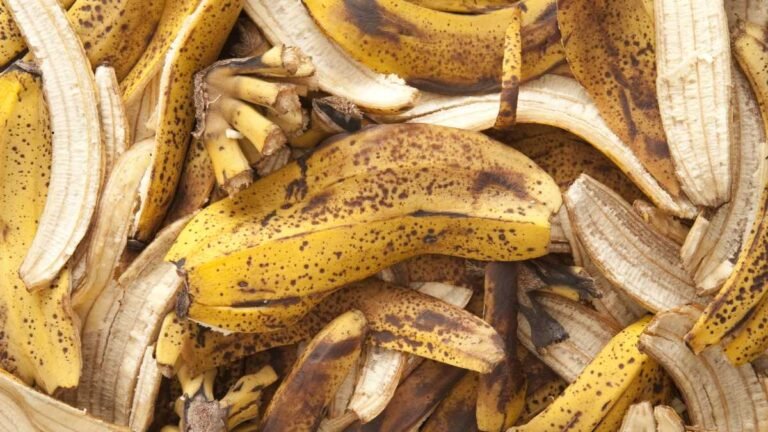 O Poder da Casca de Banana