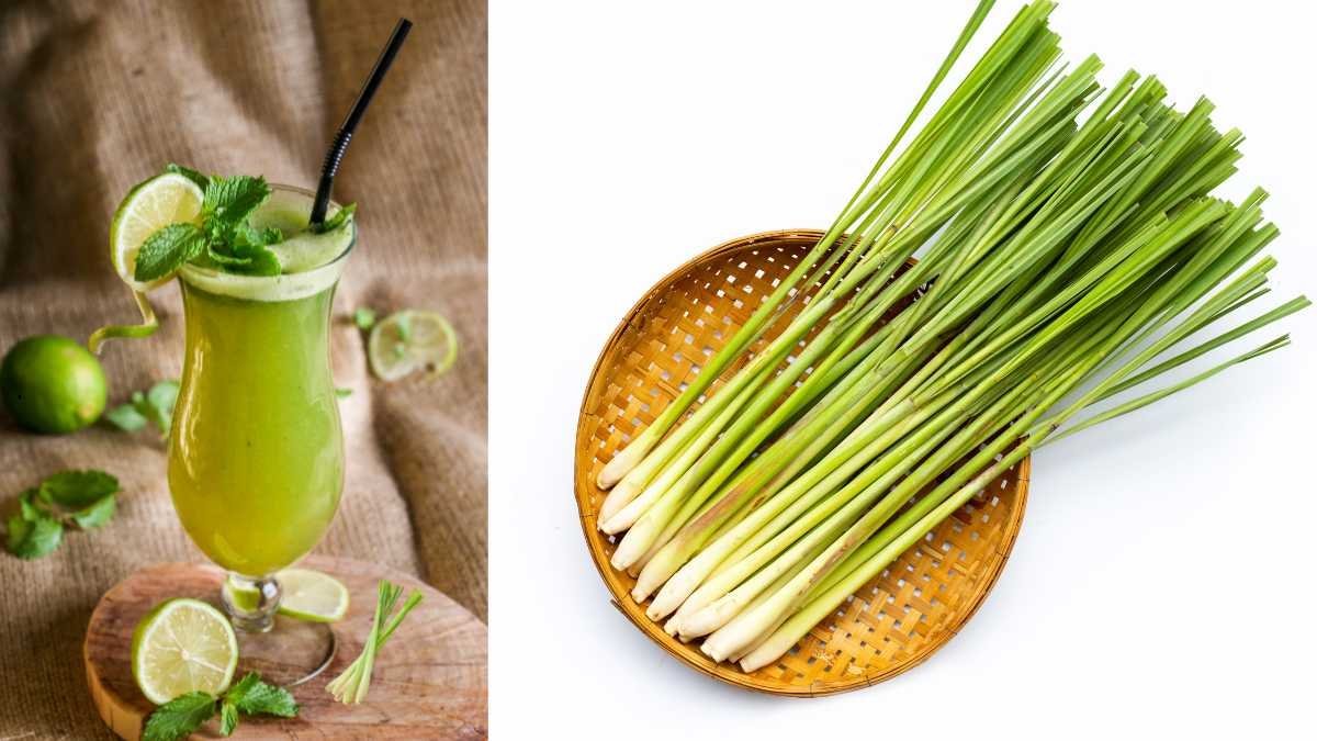 Como Plantar Capim-Cidreira