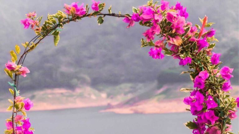 Arco de Bougainville