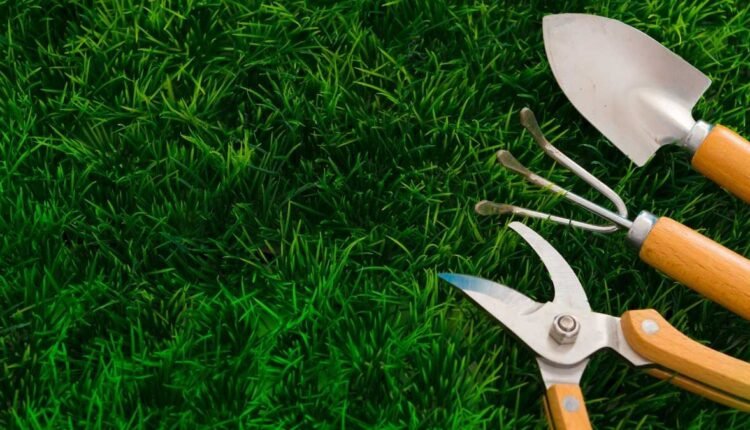 Como Começar um Jardim do Zero