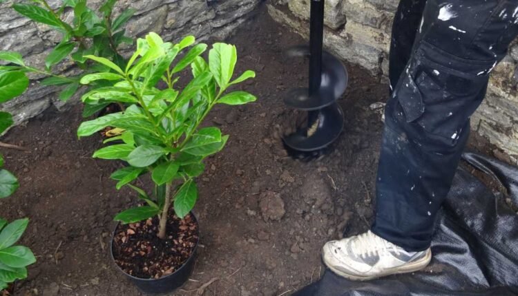 cavadeira trado para jardim