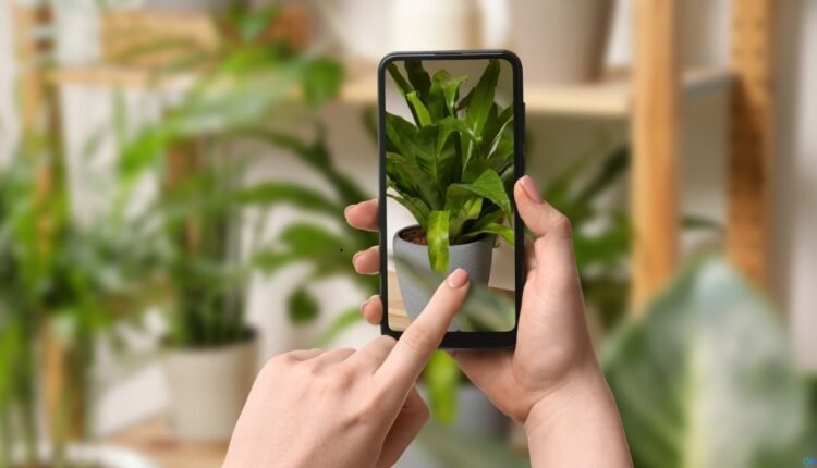 Identificador de Plantas