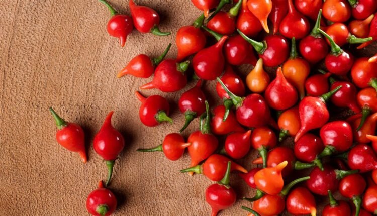 pimenta biquinho