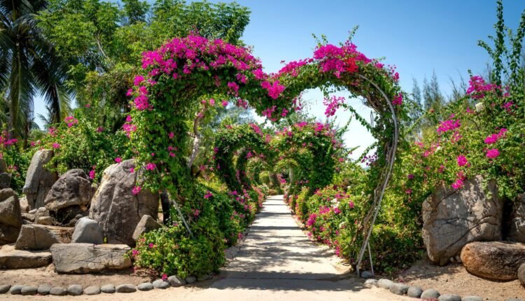 Jardim com Pedras