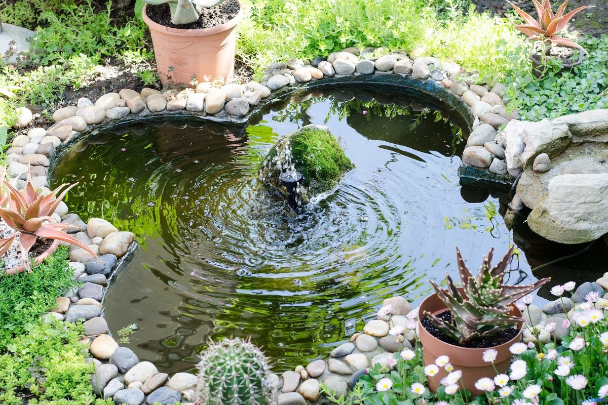 Jardim com Pedras