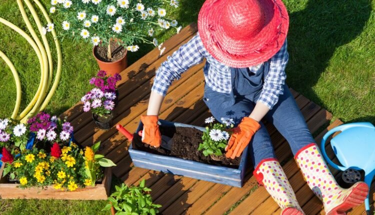 5 Projetos de Jardinagem para Aproveitar Espaços Pequenos