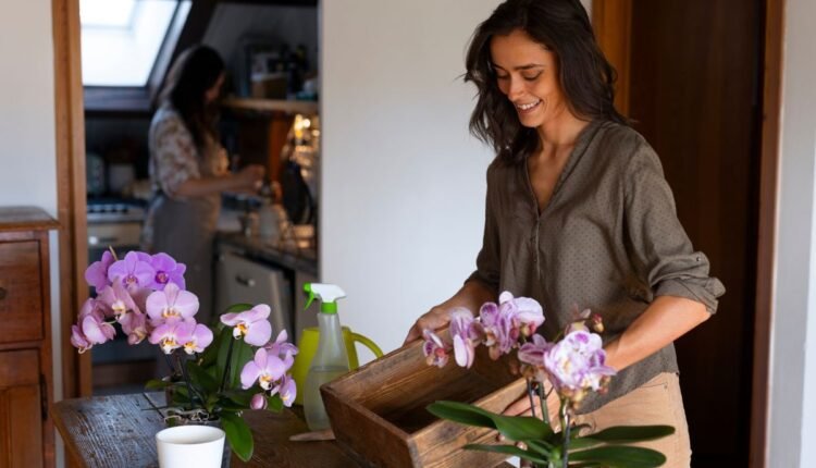 Como Plantar Orquídeas em Troncos Secos