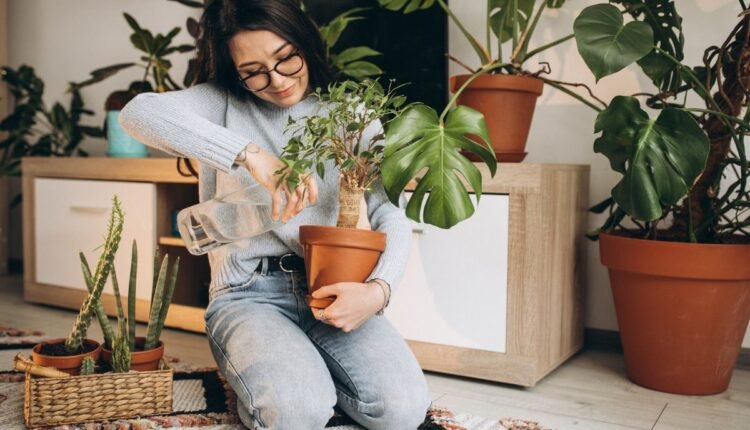 Descubra as Plantas para Ansiedade e Depressão Mais Fáceis de Cuidar