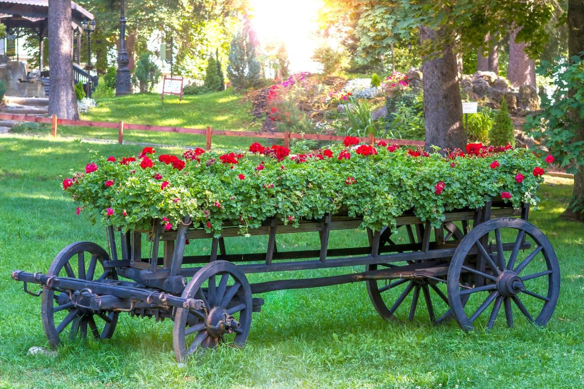 Essa Camada Simples Mudou Tudo no Meu Jardim
