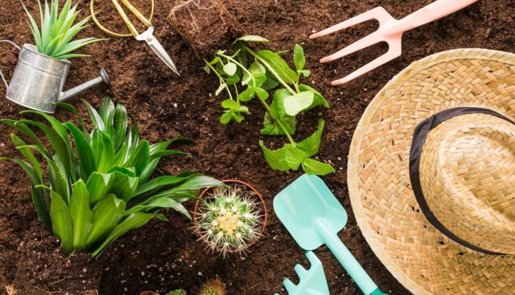 Essas 10 plantas são mais resistentes ao calor do que você imagina