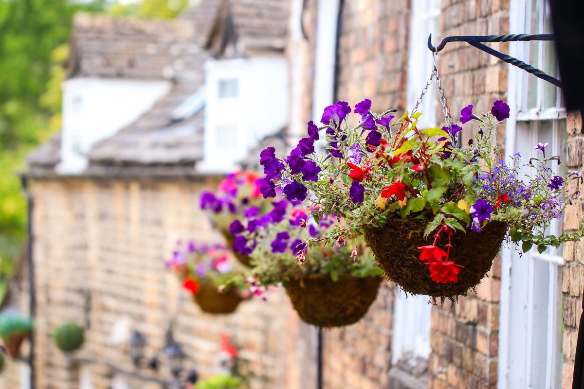 Flores Pendentes