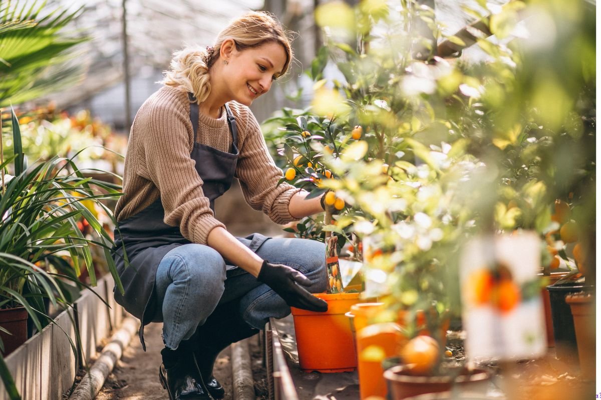 Frutíferas Perfeitas