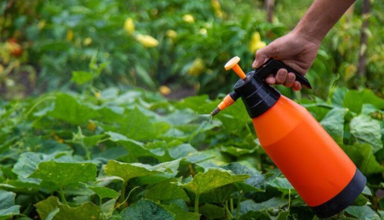O produto comum que virou arma secreta contra pragas