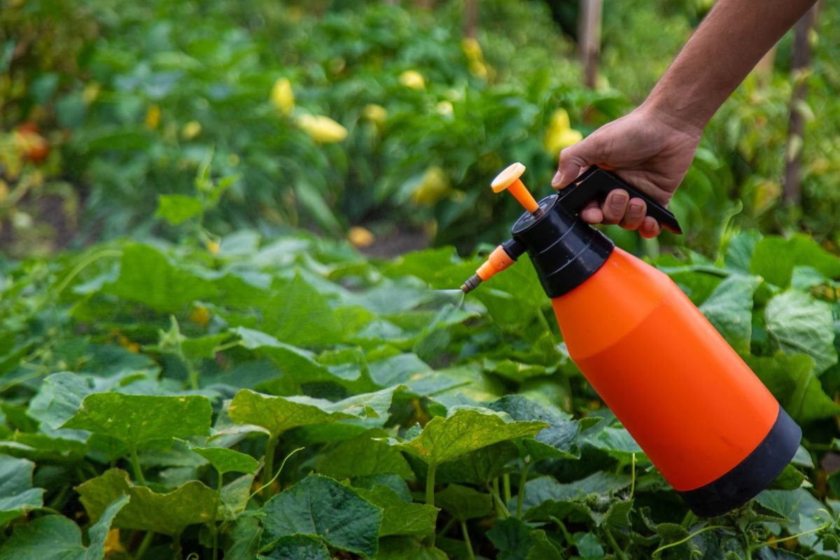 O produto comum que virou arma secreta contra pragas