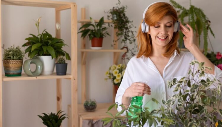 Plantas que perfumam a casa
