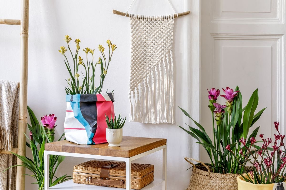 Plantas que perfumam a casa