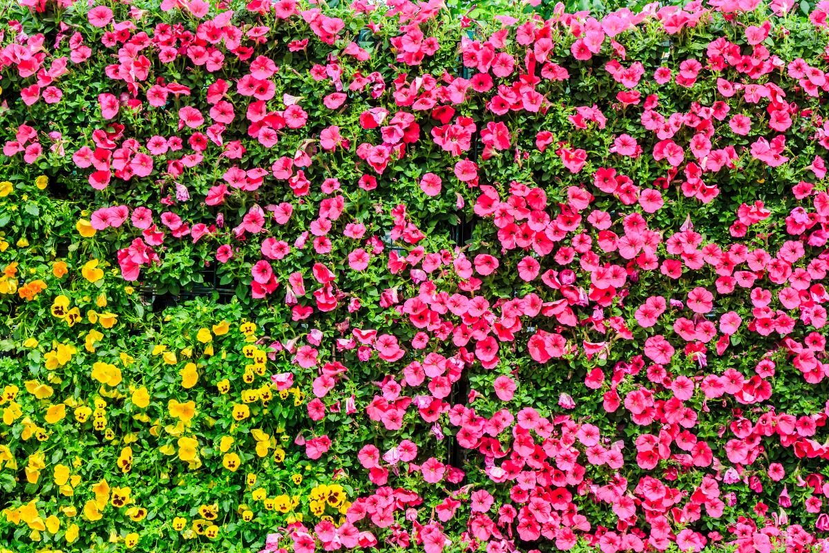 Você ainda vai querer isso no seu jardim