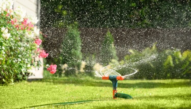 Como Fazer Irrigação Localizada no Jardim