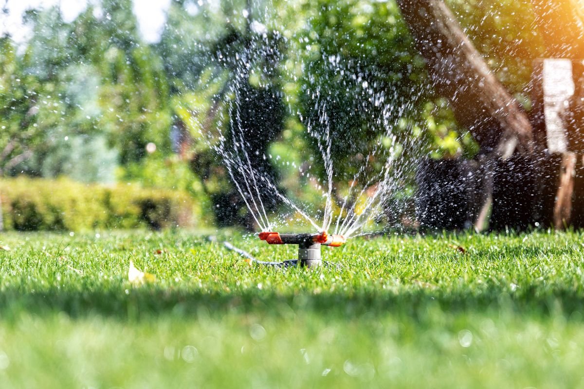 Como Fazer Irrigação Localizada no Jardim