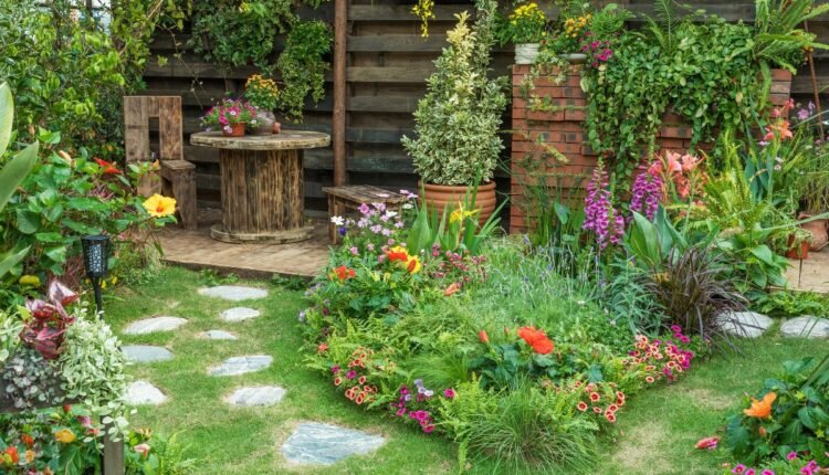 Folhas amarelas nas plantas