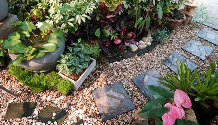Jardim com Pedras