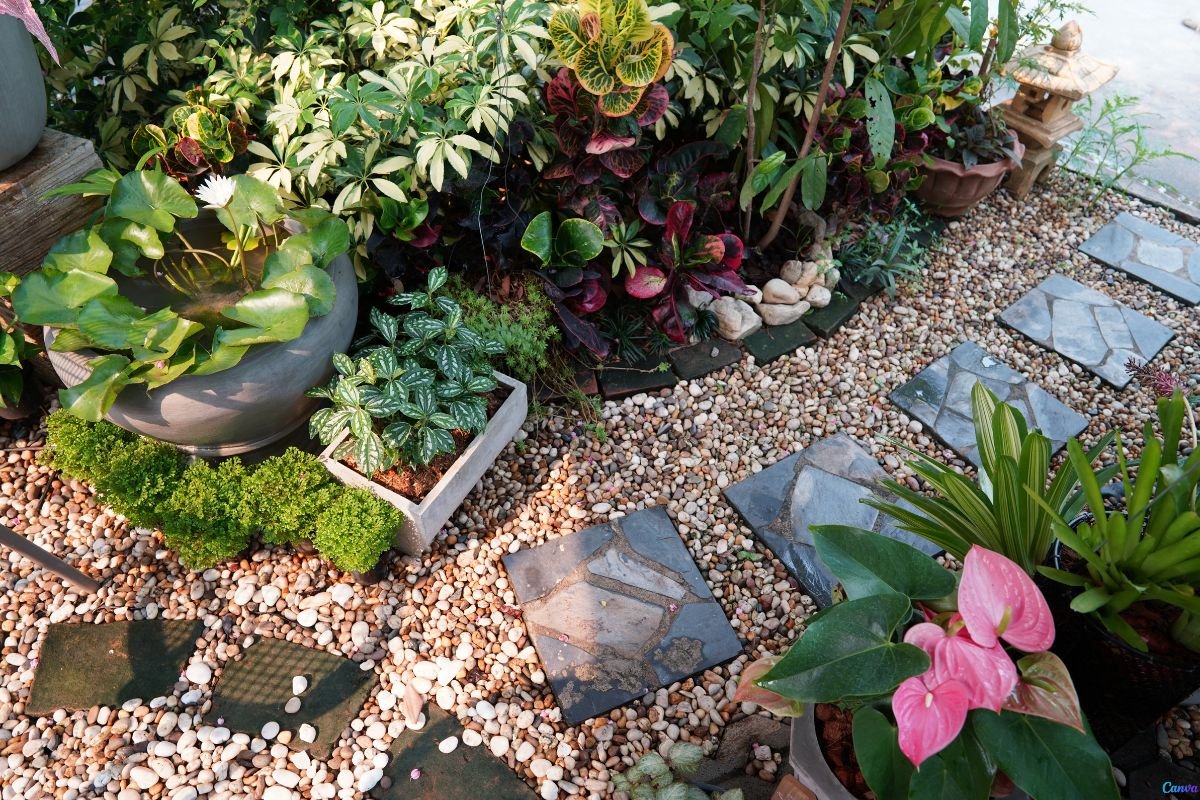 Jardim com Pedras
