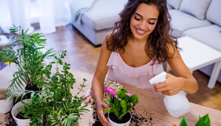 Jardinagem como Terapia