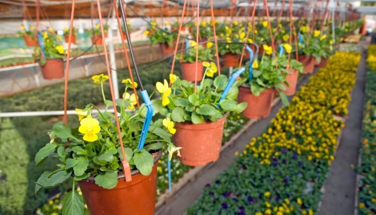 Sistema de Irrigação com Garrafa PET