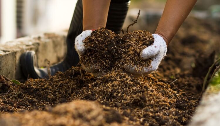 composto orgânico caseiro