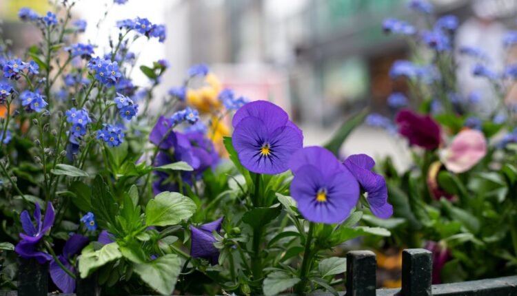 as 7 plantas que vão dominar os jardins