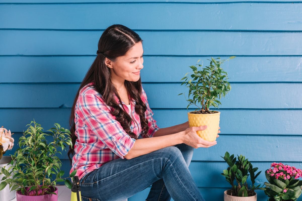 as 7 plantas que vão dominar os jardins
