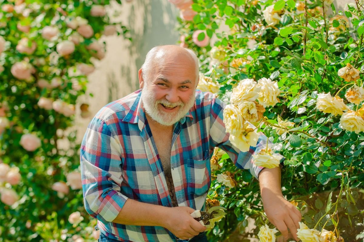 podar roseiras e ter flores