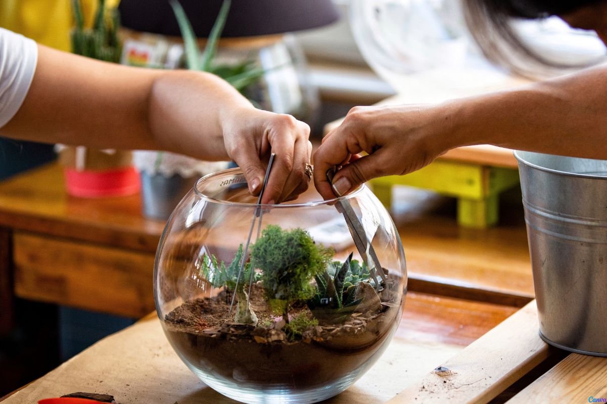 terrário de cactos