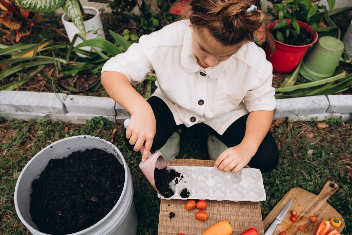 Adubo Orgânico ou Químico