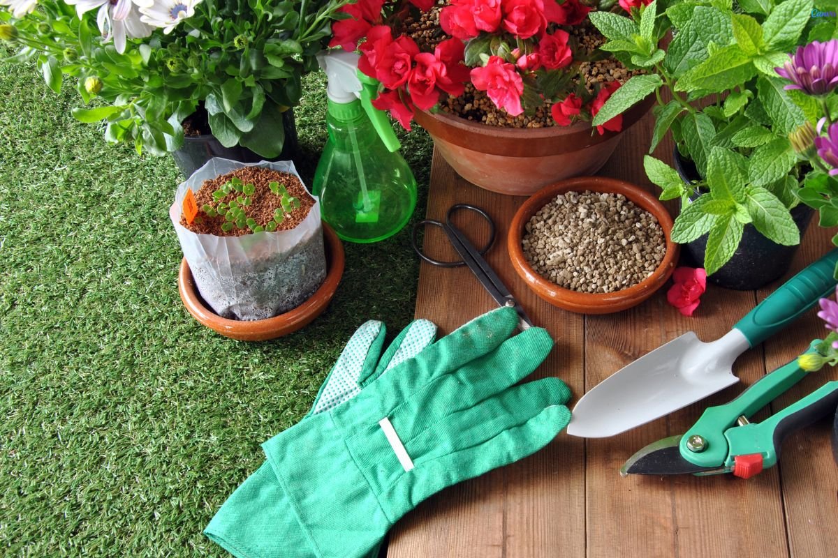 Checklist do Jardim