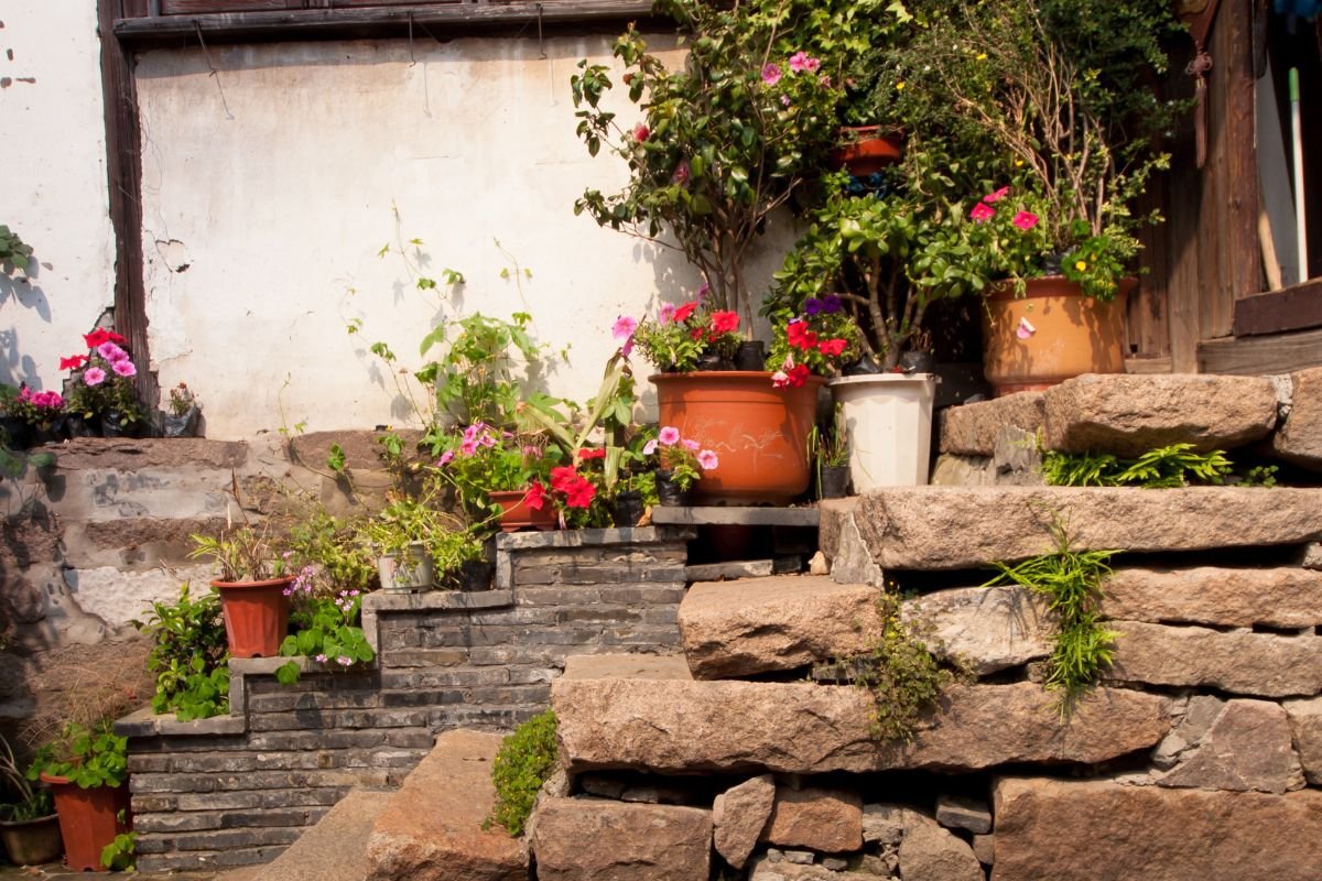 Jardim na Frente de Casas com Pedras