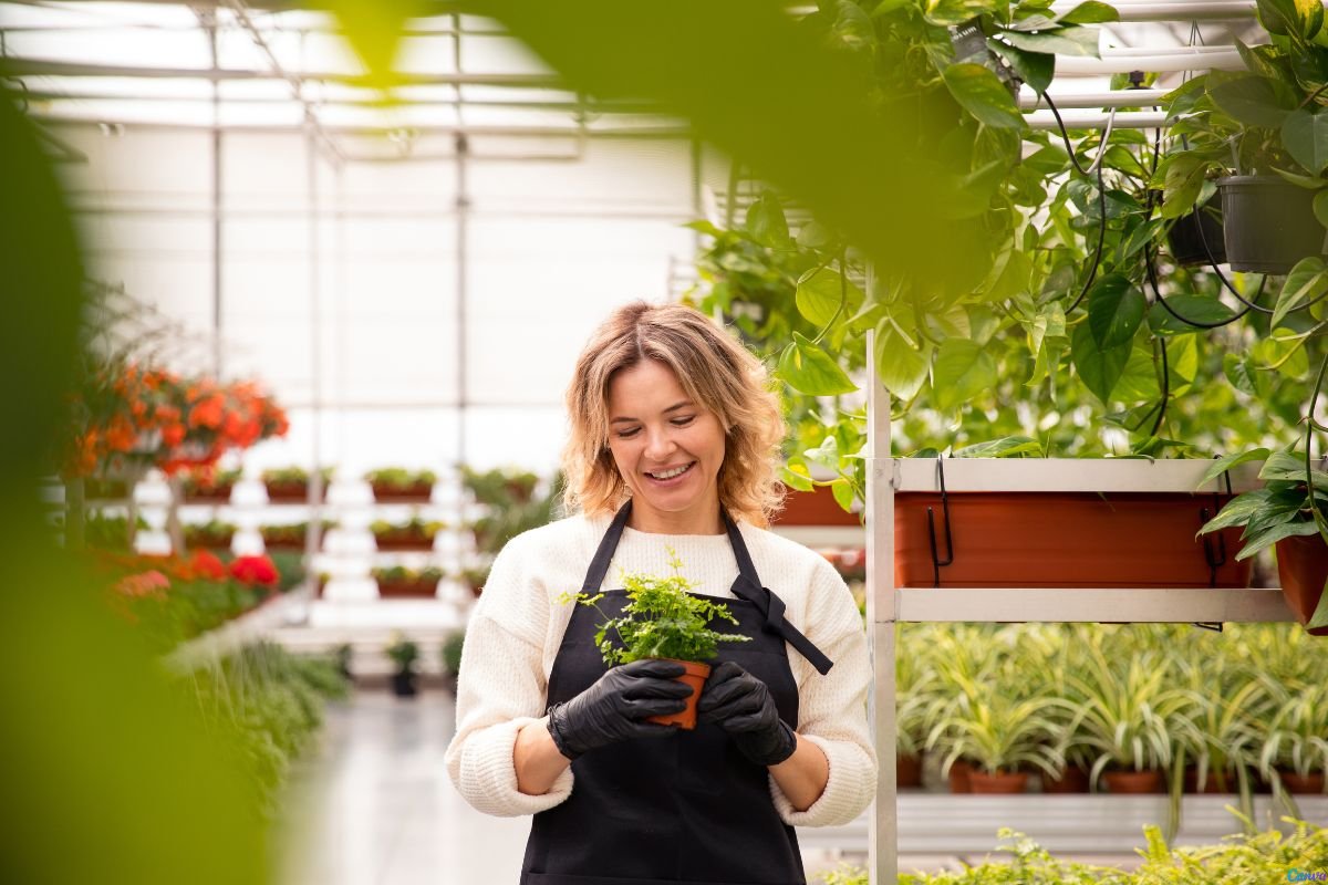 Jardinagem Como Terapia