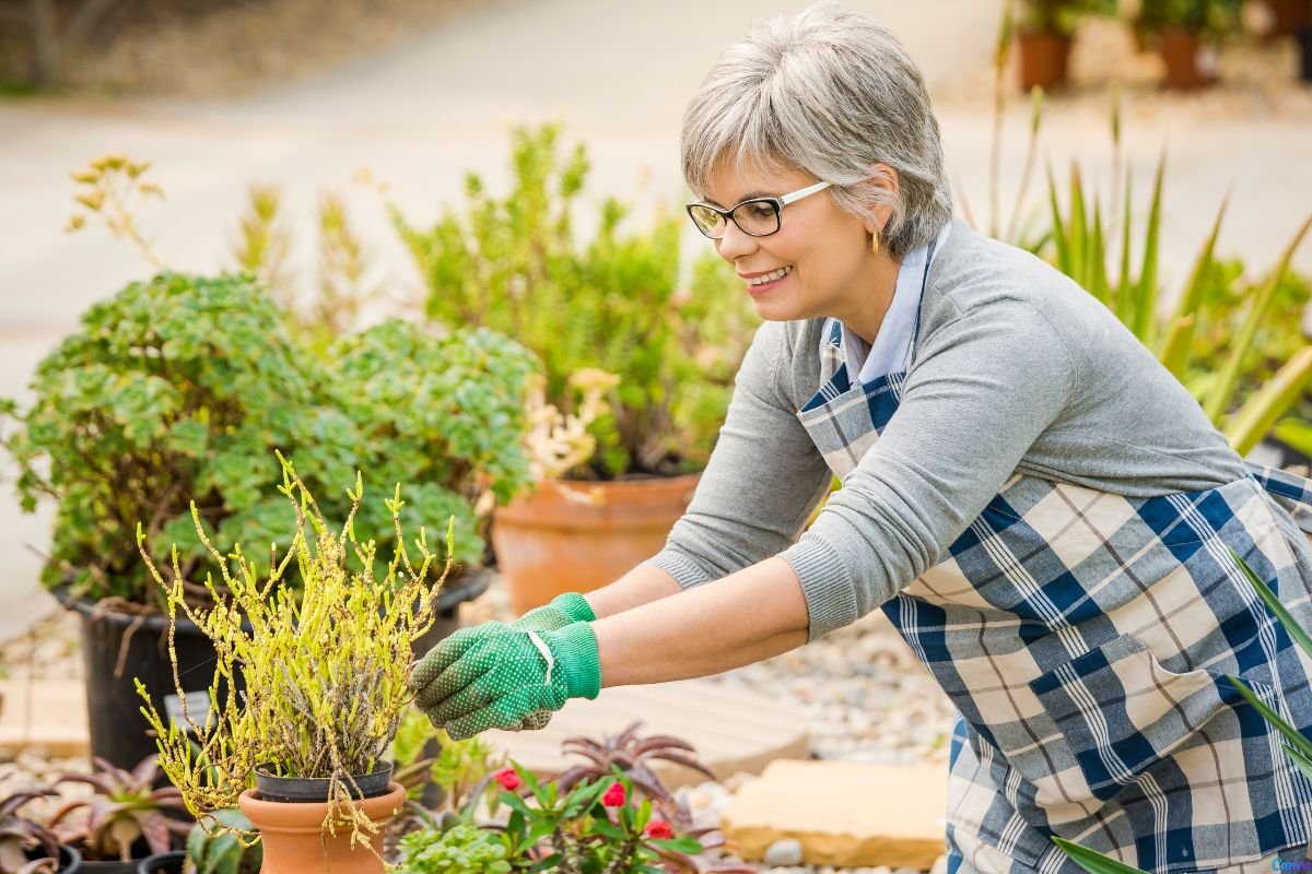 Jardinagem Como Terapia