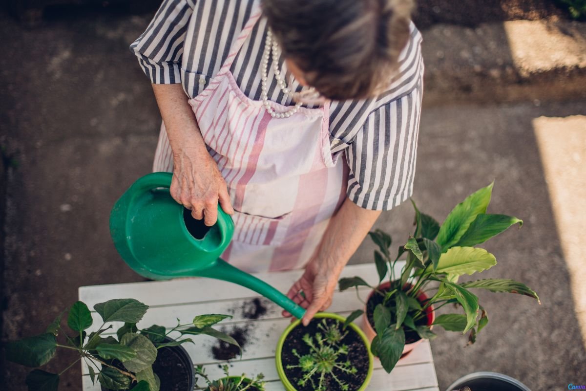 Truque Natural Para Estimular o Crescimento das Plantas