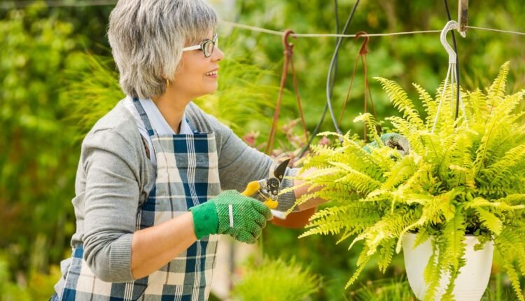 Truque Natural Para Estimular o Crescimento das Plantas
