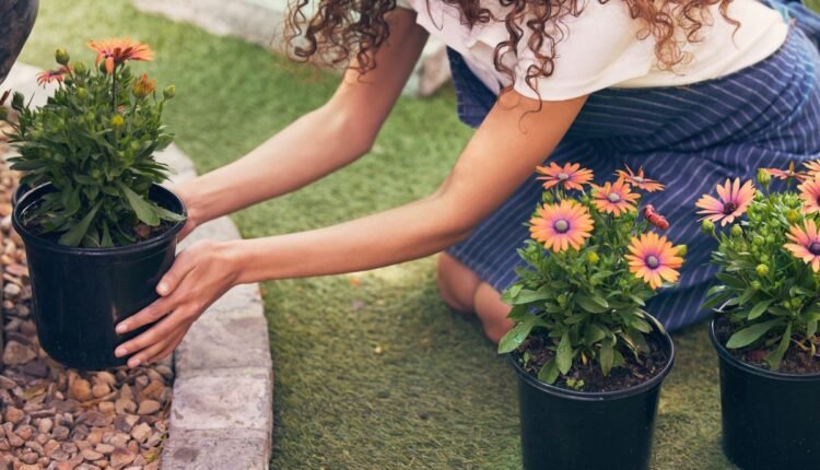 como fazer um jardim na frente de casa