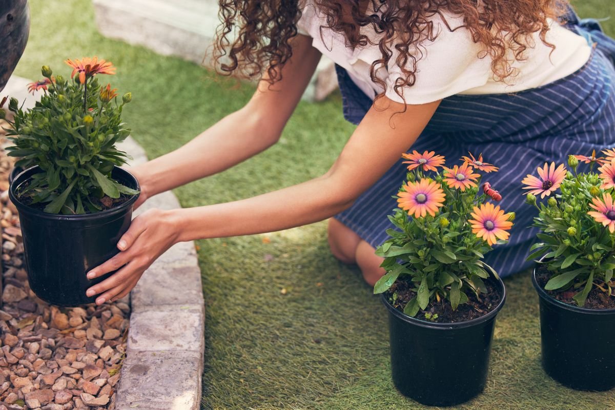 como fazer um jardim na frente de casa