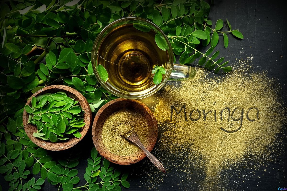 moringa
