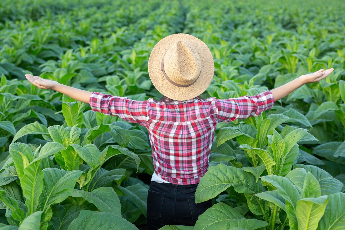 Quintal Produtivo para Mulheres