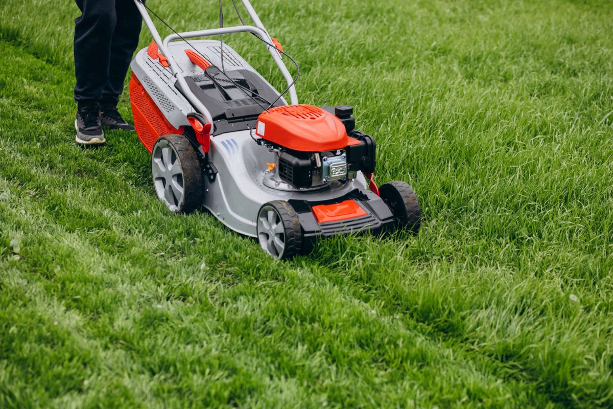 melhores cortadores de grama