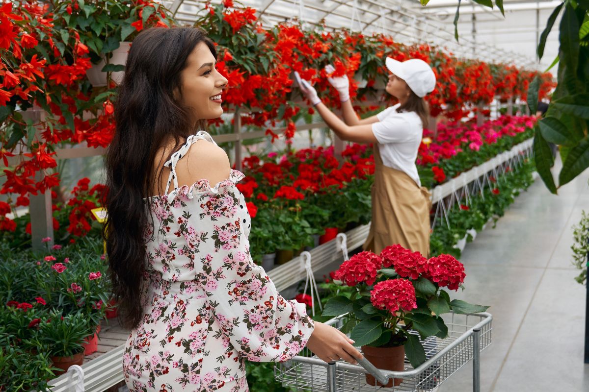 Flores que são tendência em 2026