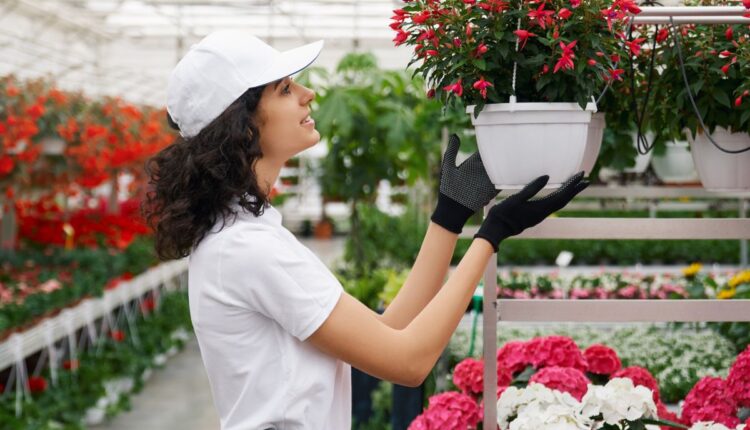 Flores que são tendência em 2026