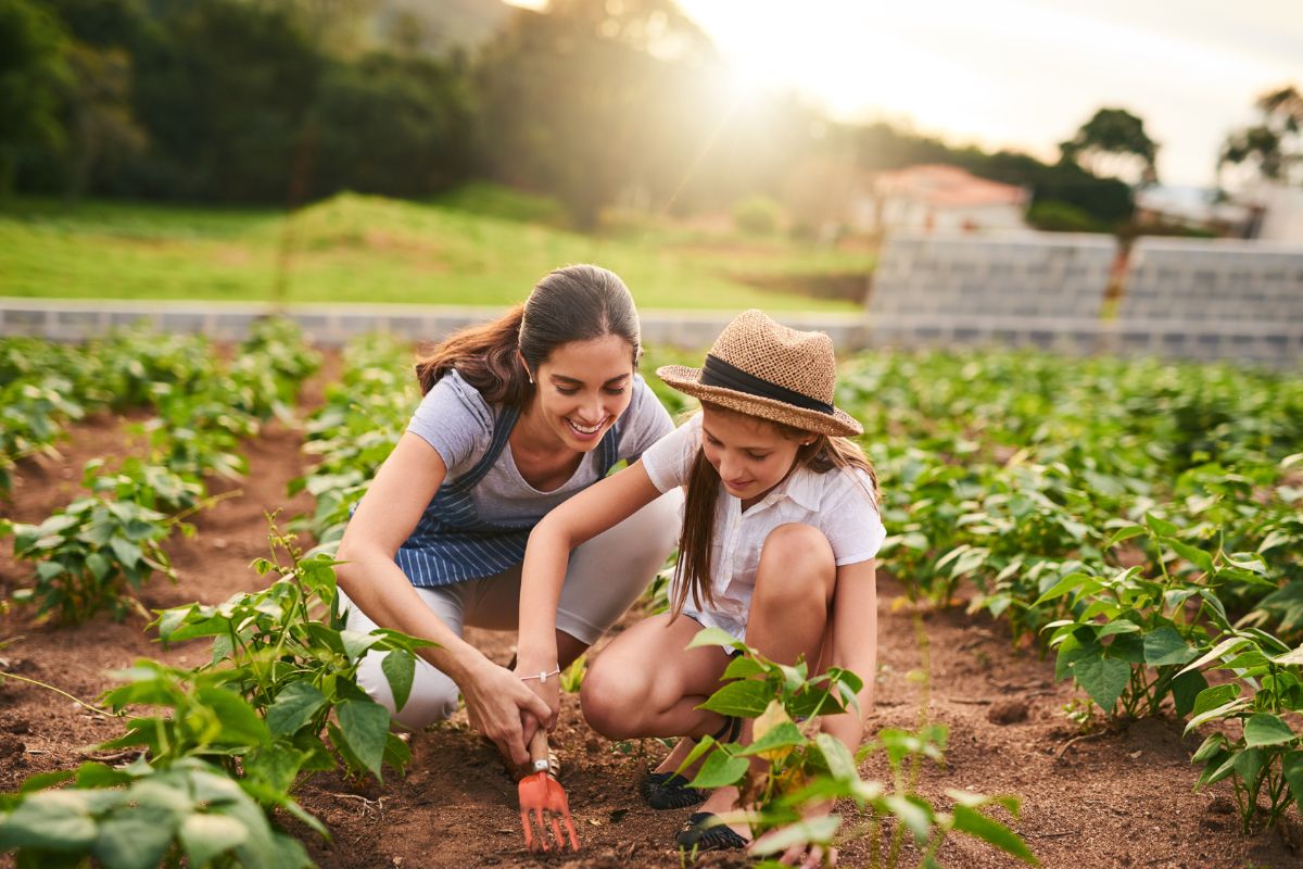 como começar na agricultura familiar