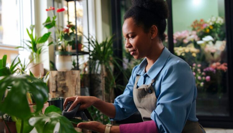 cuidar de plantas de forma sustentável
